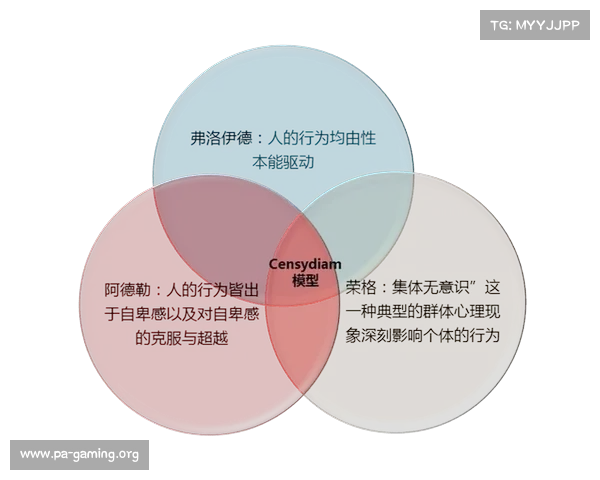 他为何对上帆情有独钟?探寻背后的深层原因与情感动机 他为何对上帆情有独钟?探寻背后的深层原因与情感动机