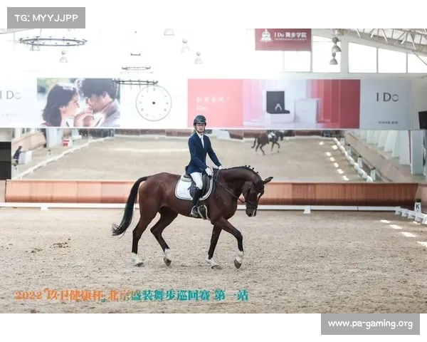 中国骑手首次突破世界马术锦标赛前十创造历史引发全球关注 中国骑手首次突破世界马术锦标赛前十创造历史引发全球关注