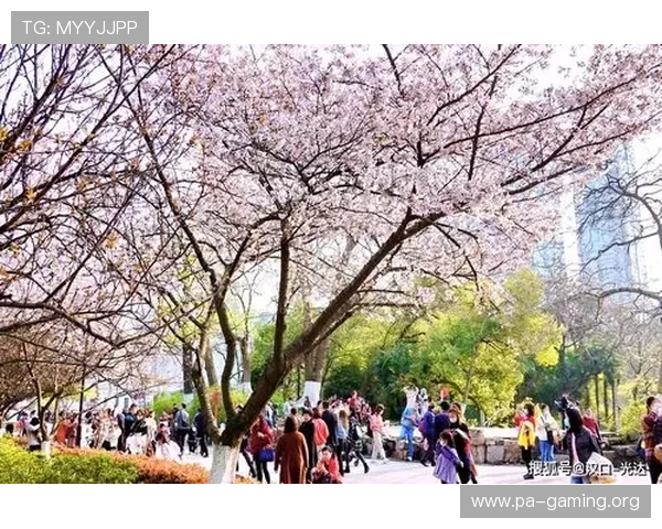 45万人涌向樱花盛会 江城奔跑经济学带动春日消费热潮