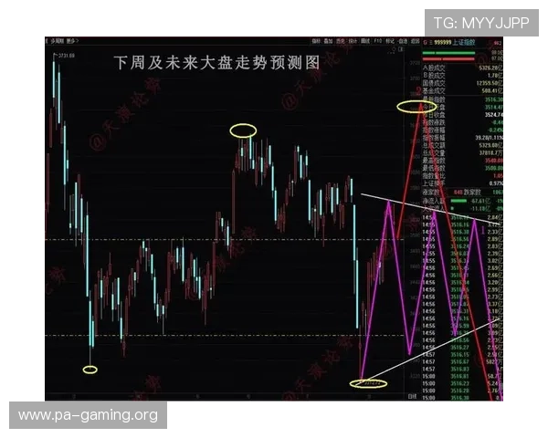 世界杯比赛走向深度分析从核心看点透视精彩瞬间和关键决策